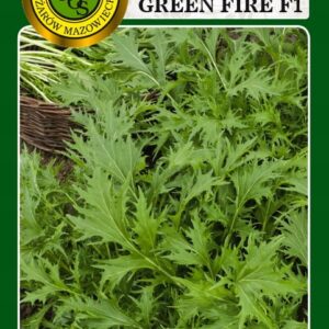 Nasiona Musztardowiec Green Fire 0,3 g PNOS Gorczyca Sarebska Nasiona Musztardowiec Green Fire 0,3 g PNOS Gorczyca Sarebska