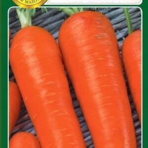 Nasiona Marchew Berlikumer 2 Perfekcja 500g PNOS Ożarów Nasiona Marchew Berlikumer 2 Perfekcja 500g PNOS Ożarów