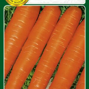 Nasiona Marchew Amsterdam, marchewka wczesna 500g PNOS Nasiona Marchew Amsterdam, marchewka wczesna 500g PNOS