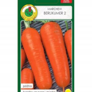 Nasiona MARCHEW BERLICUMER 2 100g marchew późna PNOS Nasiona MARCHEW BERLICUMER 2 100g marchew późna PNOS