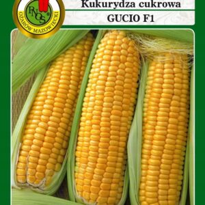 Nasiona Kukurydza cukrowa Gucio F1 20g PNOS Nasiona Kukurydza cukrowa Gucio F1 20g PNOS