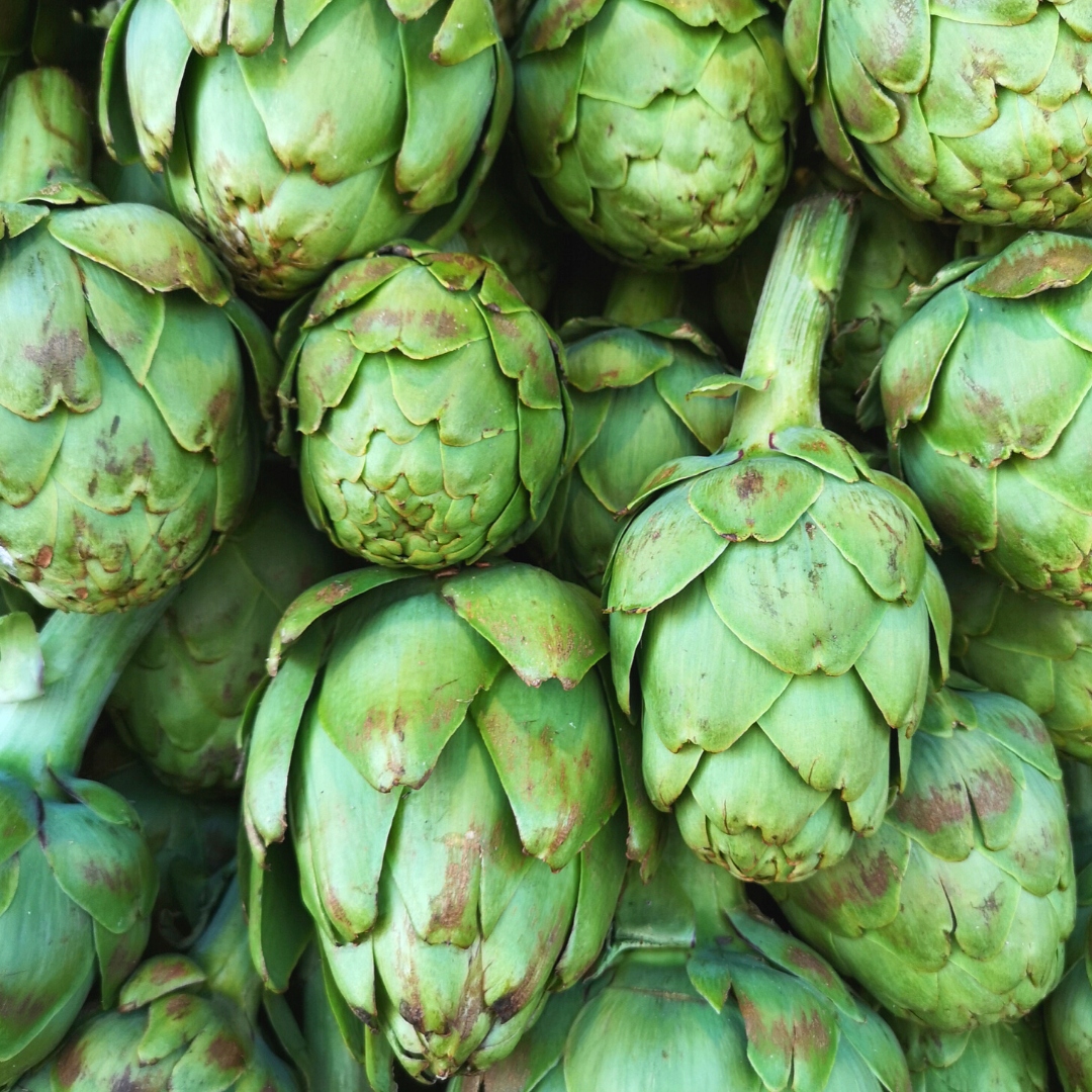 Nasiona Karczoch Zwyczajny Vert De Provence 1 g PNOS nasiona Karczocha Nasiona Karczoch Zwyczajny Vert De Provence 1 g PNOS nasiona Karczocha