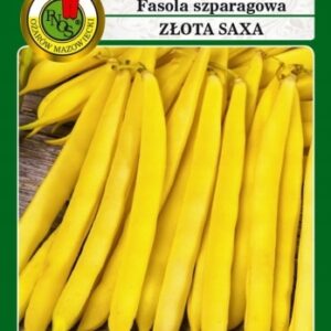 Nasiona Fasola szparagowa żółta Złota Saxa 500g fasolka karłowa PNOS Nasiona Fasola szparagowa żółta Złota Saxa 500g fasolka karłowa PNOS