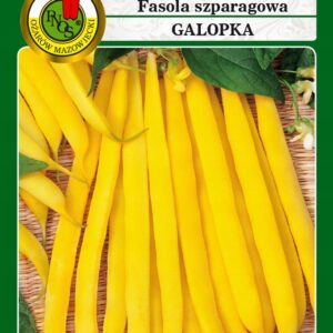 Nasiona Fasola GALOPKA 30 g Fasolka szparagowa karłowa PNOS Nasiona Fasola GALOPKA 30 g Fasolka szparagowa karłowa PNOS