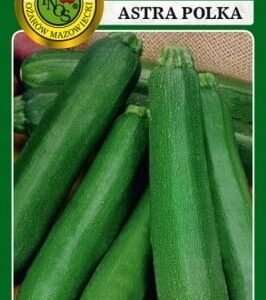 Nasiona Dynia zwyczajna Cukinia Astra Polka 500g PNOS Nasiona Dynia zwyczajna Cukinia Astra Polka 500g PNOS
