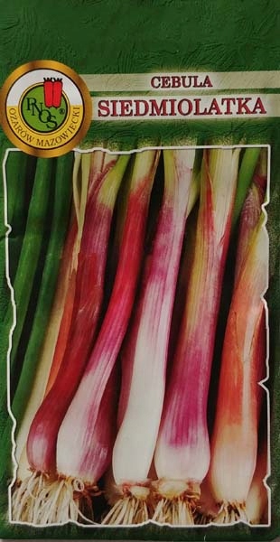 Nasiona Cebula Siedmiolatka Red Toga 2g, Zielona Cebulka, 7-latka, PNOS Nasiona Cebula Siedmiolatka Red Toga 2g, Zielona Cebulka, 7-latka, PNOS