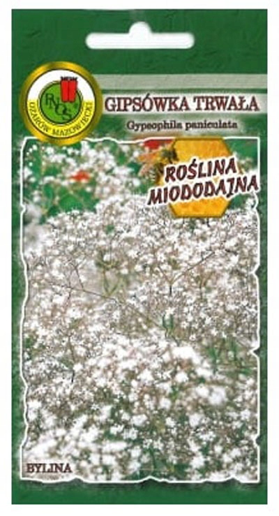 Nasiona Gipsówka TRWAŁA biała - 0,5g PNOS Nasiona Gipsówka TRWAŁA biała - 0,5g PNOS