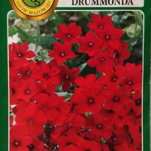 Nasiona Floks Drummonda czerwony 0,8g PNOS Nasiona Floks Drummonda czerwony 0,8g PNOS