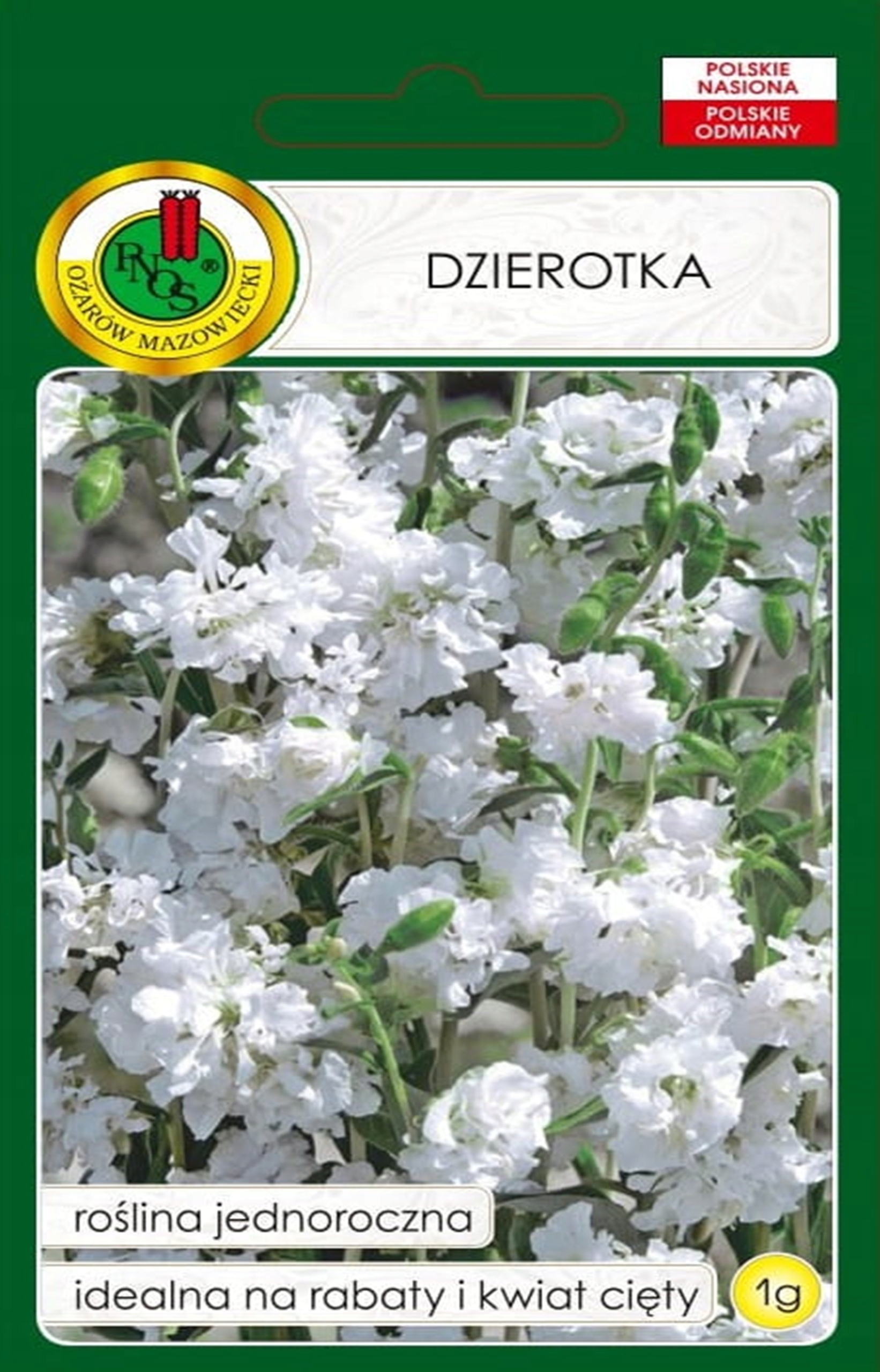 Nasiona Dziarotka biała 1 g PNOS Ożarów roślina jednoroczna Nasiona Dziarotka biała 1 g PNOS Ożarów roślina jednoroczna