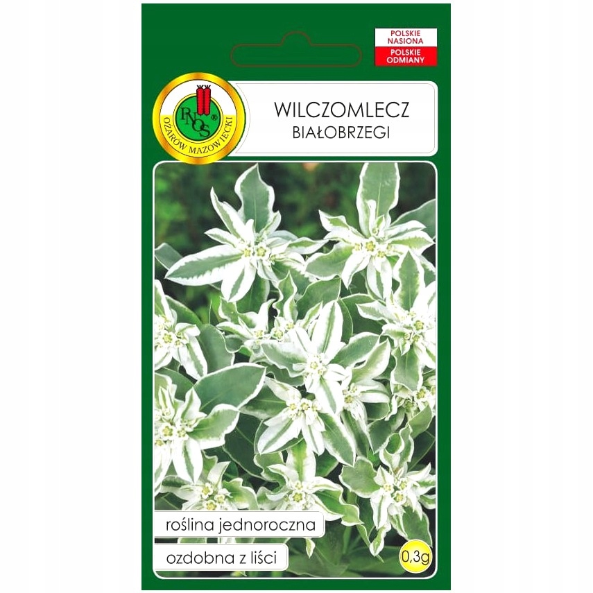 Nasiona Wilczomlecz Białobrzegi 0.3 g PNOS Nasiona Wilczomlecz Białobrzegi 0.3 g PNOS