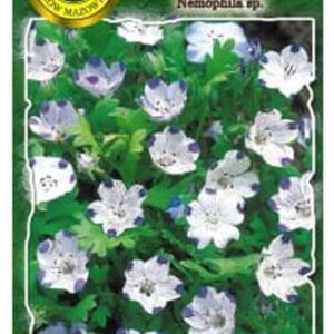 Nasiona Porcelanka Nemofila 0,5 g PNOS Nasiona Porcelanka Nemofila 0,5 g PNOS