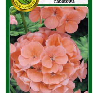 Nasiona Pelargonia rabatowa nasiona F1 10n łososiowa PNOS Nasiona Pelargonia rabatowa nasiona F1 10n łososiowa PNOS