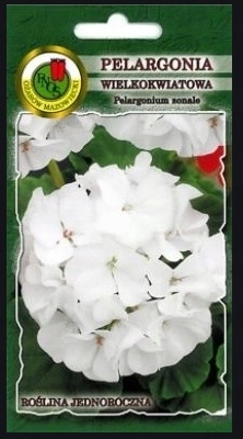 Nasiona Pelargonia rabatowa F1 BIAŁA 10 nasion - PNOS Nasiona Pelargonia rabatowa F1 BIAŁA 10 nasion - PNOS