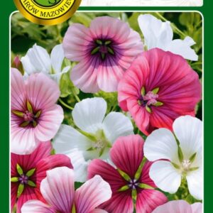 Nasiona Malope MIESZANA - 1g PNOS Nasiona Malope MIESZANA - 1g PNOS