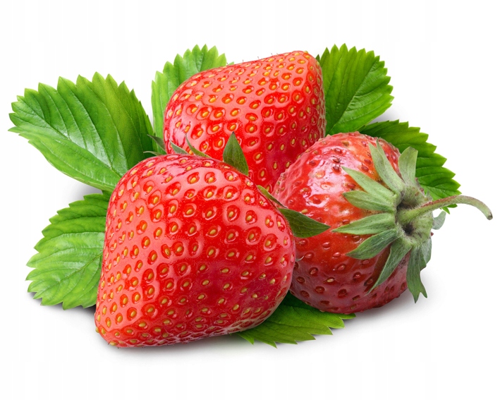 Ogród 2001 Truskawka 5 kg Siarkopol nawóz granulowany do Truskawek, Malin Ogród 2001 Truskawka 5 kg Siarkopol nawóz granulowany do Truskawek, Malin