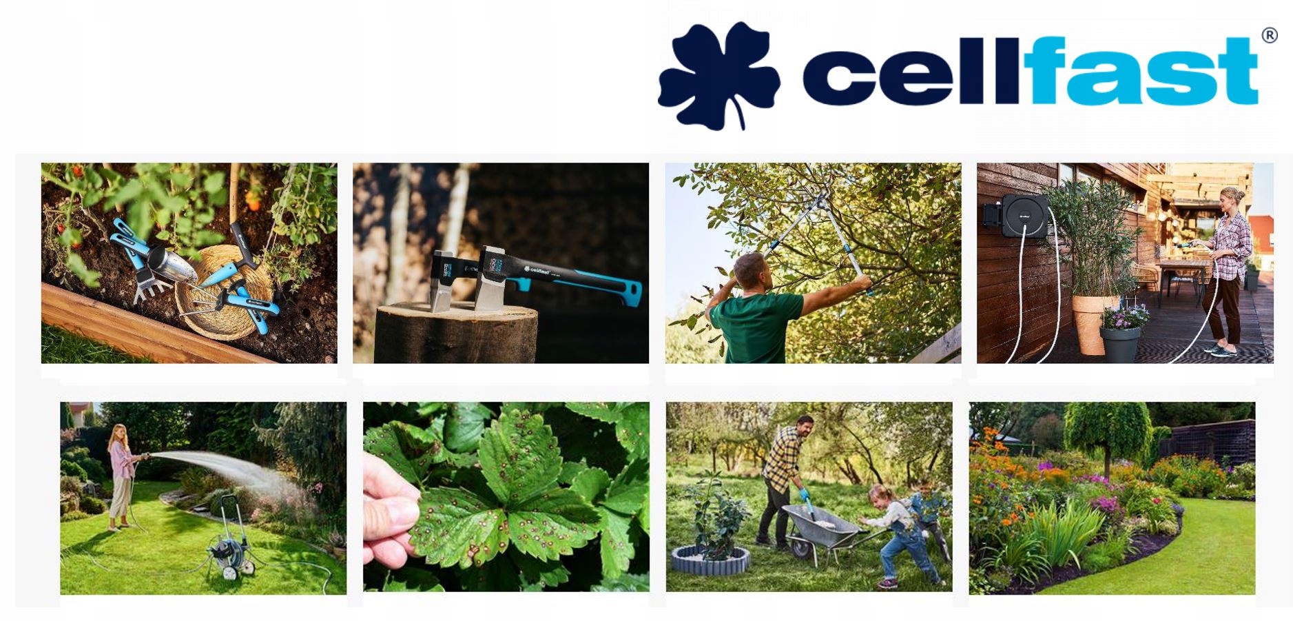 Opryskiwacz ręczny ciśnieniowy 3 L Cellfast 42-2165 spryskiwacz ogrodniczy Opryskiwacz ręczny ciśnieniowy 3 L Cellfast 42-2165 spryskiwacz ogrodniczy