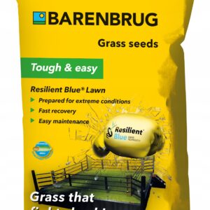 Trawa Barenbrug 5 kg Resident Blue Lawn szybka regeneracja Trawa Barenbrug 5 kg Resident Blue Lawn szybka regeneracja