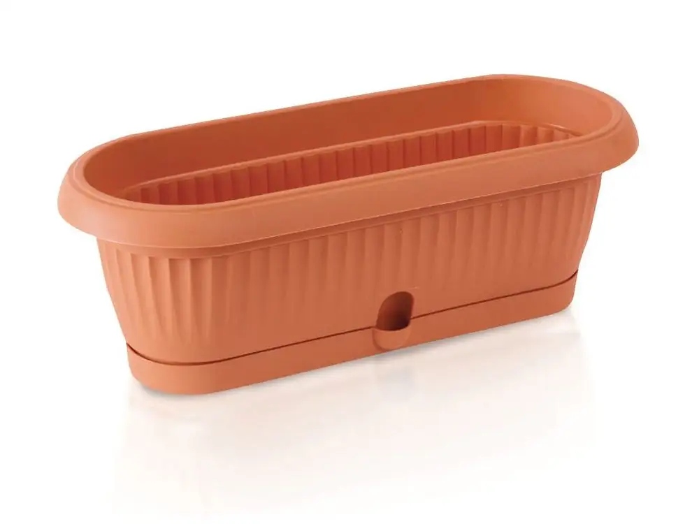 Doniczka podłużna Kaktusiarka DCK1 26,5 cm terakota Prosperplast Doniczka podłużna Kaktusiarka DCK1 26,5 cm terakota Prosperplast