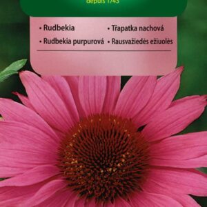 Nasiona Rudbekia- Jeżówka purpurowa 0,5 g Vilmorin Nasiona Rudbekia- Jeżówka purpurowa 0,5 g Vilmorin