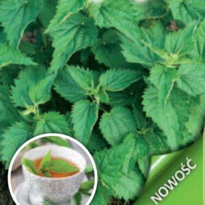 Nasiona Pokrzywa zwyczajna 0,1 g Legutko Nasiona ziół Nasiona Pokrzywa zwyczajna 0,1 g Legutko Nasiona ziół