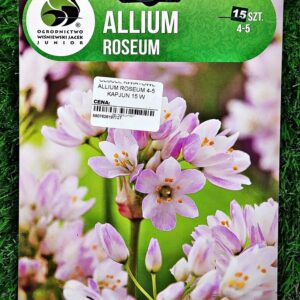 Alium Roseum 15 szt Czosnek ozdobny różowy kapers GMF Junior Alium Roseum 15 szt Czosnek ozdobny różowy kapers GMF Junior