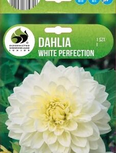 Dalia White Perfection- biała kapers 1 szt GMF Junior Dalia White Perfection- biała kapers 1 szt GMF Junior