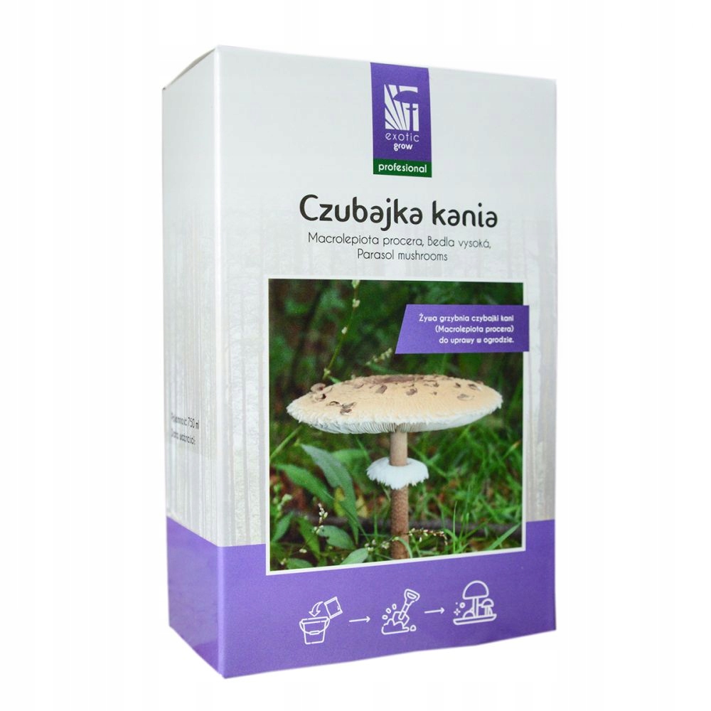 Grzybnia ziarnista profesjonalna- Czubajka Kania 750 ml. Grzybnia ziarnista profesjonalna- Czubajka Kania 750 ml.
