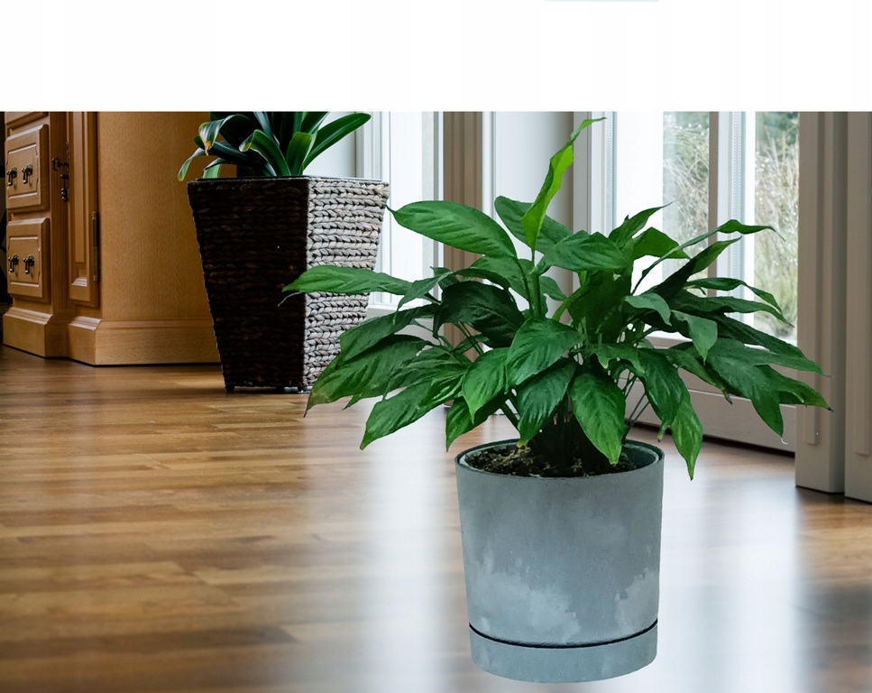 Doniczka Tubo beton effect DPOP+p 200 Prosperplast Doniczka Tubo beton effect DPOP+p 200 Prosperplast