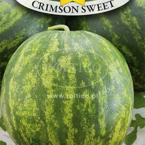 Nasiona arbuz Crimson Sweet 1 g Roltico