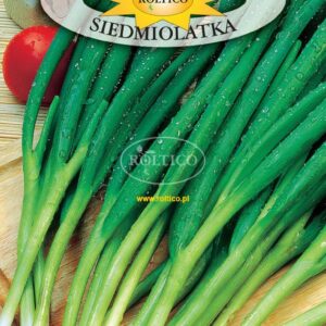 Nasiona Cebula jadalna Siedmiolatka 2g cebula na szczypior 7-latka Roltico