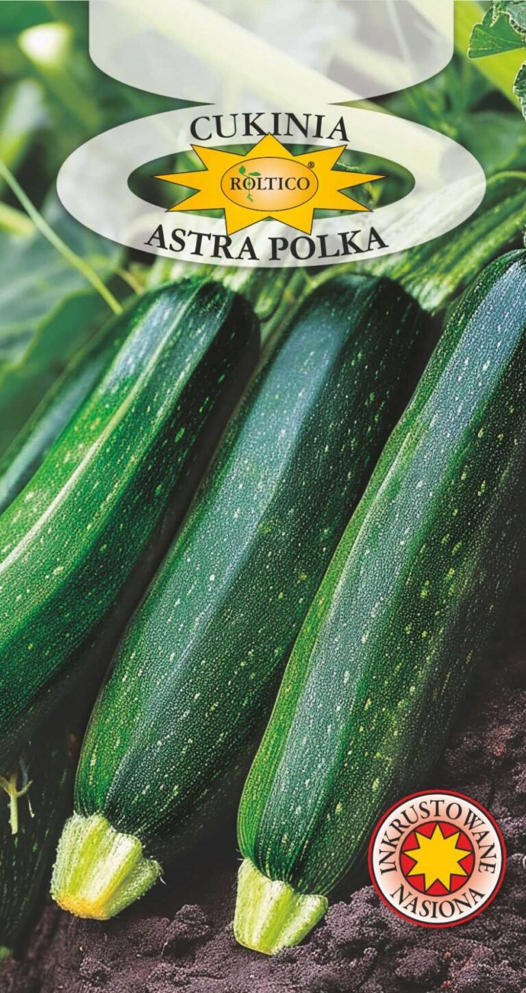 Nasiona Cukinia ASTRA 3 g ROLTICO dynia zwyczajna PLENNA I BARDZO WCZESNA Nasiona Cukinia ASTRA 3 g ROLTICO dynia zwyczajna PLENNA I BARDZO WCZESNA