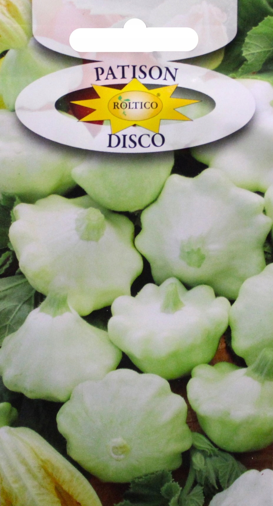Nasiona PATISON DISCO 2 g Roltico dynia zwyczajna patison Nasiona PATISON DISCO 2 g Roltico dynia zwyczajna patison