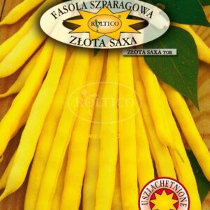Nasiona Fasola Roltico Złota Saxa 40 g fasolka żółta karłowa bezwłóknista Nasiona Fasola Roltico Złota Saxa 40 g fasolka żółta karłowa bezwłóknista
