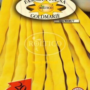 Nasiona Fasola tyczna Goldmarie typu Mamut 10 g Roltico fasolka żółta Nasiona Fasola tyczna Goldmarie typu Mamut 10 g Roltico fasolka żółta