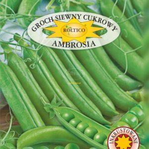 Nasiona Groch cukrowy Ambrosia 40 g Roltico Nasiona Groch cukrowy Ambrosia 40 g Roltico
