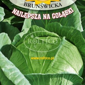 Nasiona Kapusta głowiasta BRUNŚWICKA 2 g najlepsza na gołąbki Roltico Nasiona Kapusta głowiasta BRUNŚWICKA 2 g najlepsza na gołąbki Roltico