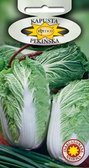 Nasiona Kapusta Pekińska Granat 1 g Roltico nasiona warzyw Nasiona Kapusta Pekińska Granat 1 g Roltico nasiona warzyw