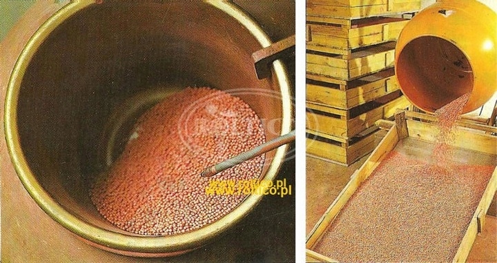 Nasiona Kapusta Pekińska Granat 1 g Roltico nasiona warzyw Nasiona Kapusta Pekińska Granat 1 g Roltico nasiona warzyw