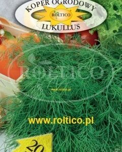 Nasiona koper Lukullus 5 g Roltico odmiana wczesna Nasiona koper Lukullus 5 g Roltico odmiana wczesna