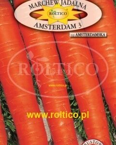 Nasiona Marchew Amsterdam 5 g Roltico marchewka wczesna Nasiona Marchew Amsterdam 5 g Roltico marchewka wczesna