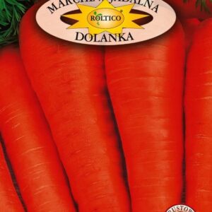 Nasiona Marchew DOLANKA 5 g odmiana późna Roltico Nasiona Marchew DOLANKA 5 g odmiana późna Roltico