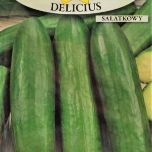 Nasiona Ogórek gruntowy sałatkowy Delicius 5g Roltico Nasiona Ogórek gruntowy sałatkowy Delicius 5g Roltico