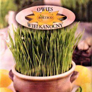 Nasiona Owies wielkanocny 20g Roltico Nasiona Owies wielkanocny 20g Roltico