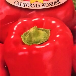 Nasiona Papryka czerwona słodka California Wonder 0,5g Roltico Nasiona Papryka czerwona słodka California Wonder 0,5g Roltico