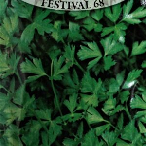 Nasiona Pietruszka naciowa Festival 5g Roltico pietruszka na natkę Nasiona Pietruszka naciowa Festival 5g Roltico pietruszka na natkę