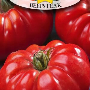 Nasiona POMIDOR BEEFSTEAK 0,5g ROLTICO wysokopienny Nasiona POMIDOR BEEFSTEAK 0,5g ROLTICO wysokopienny