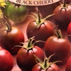 Nasiona Pomidory Black cherry 0,2 g Roltico pomidor koktajlowy czarny Nasiona Pomidory Black cherry 0,2 g Roltico pomidor koktajlowy czarny