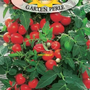 Nasiona Pomidory Garten Perle 0,5 g pomidor koktajlowy czerwony Nasiona Pomidory Garten Perle 0,5 g pomidor koktajlowy czerwony