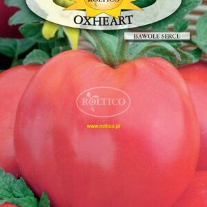 Nasiona Pomidor Bawole Serce Oxheart malinowy ROLTICO 0,2g Nasiona Pomidor Bawole Serce Oxheart malinowy ROLTICO 0,2g