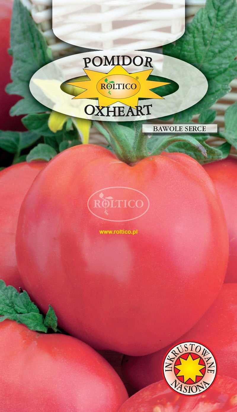 Nasiona Pomidor Bawole Serce Oxheart malinowy ROLTICO 0,2g Nasiona Pomidor Bawole Serce Oxheart malinowy ROLTICO 0,2g